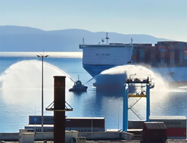 nuova-vita-ai-container-3
